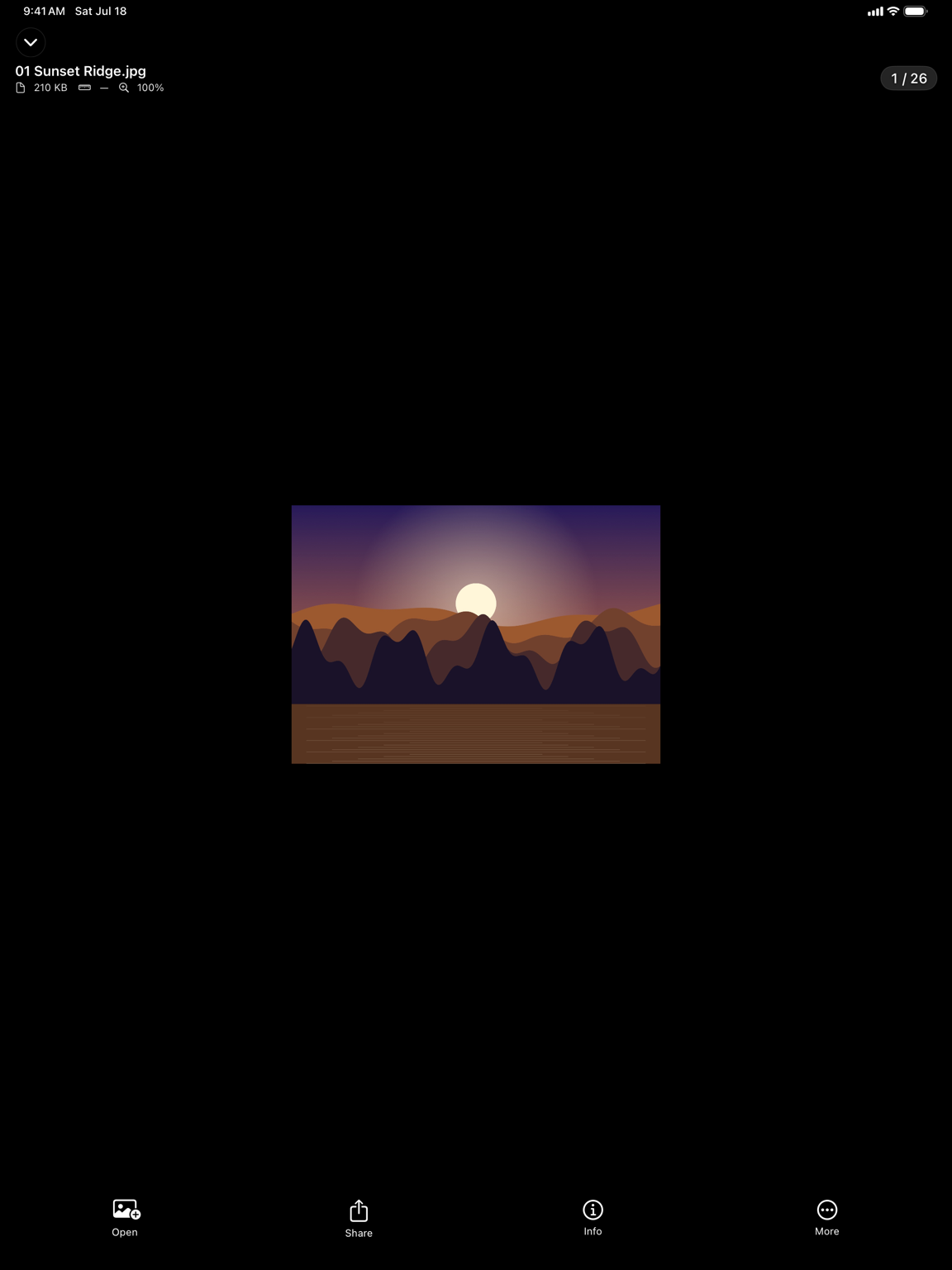 MediaHarbor full screen photo viewer on iPad with file details and toolbar