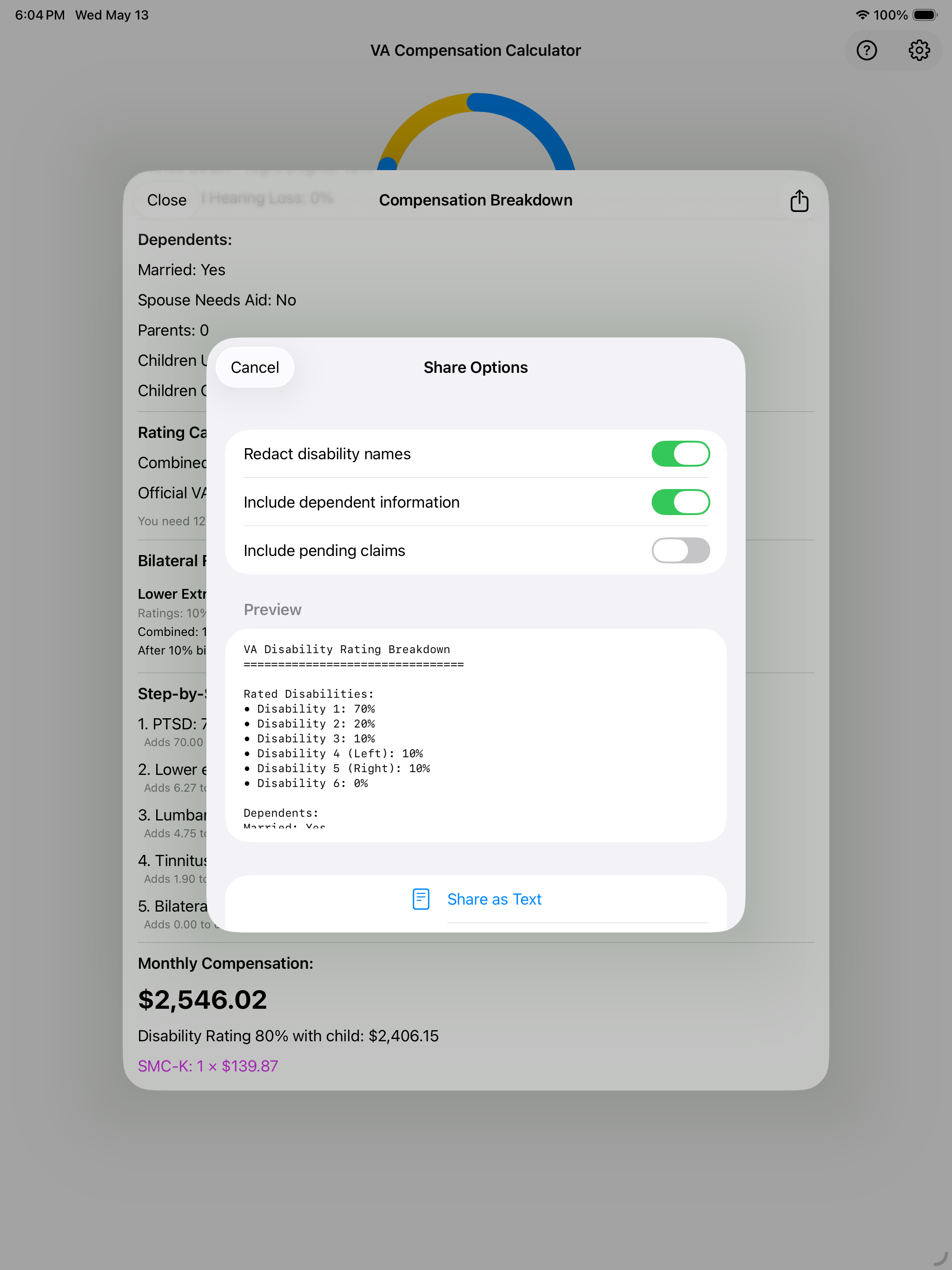 iPad share options sheet with privacy toggles and Share as Text action